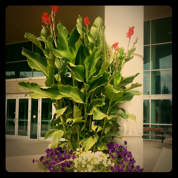 Meet your Posher, Deanna - Picture 1 of 3